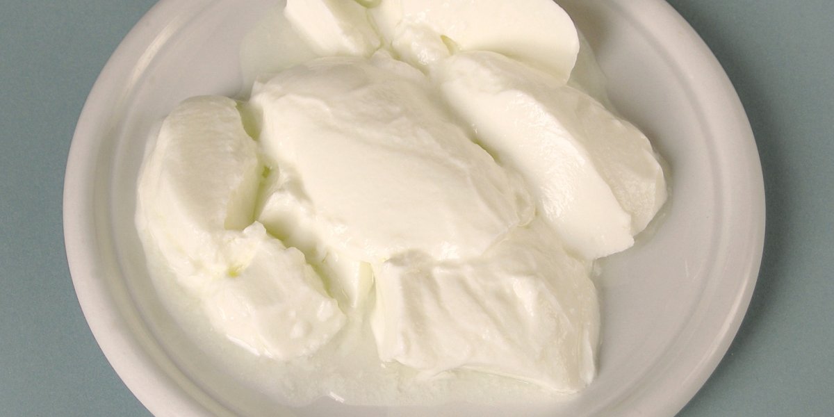Закваски для йогуртов: польза для организма