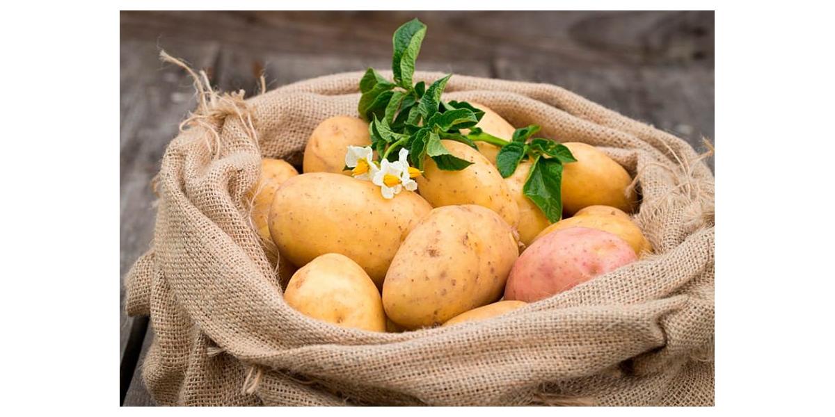 Что приготовить из картофеля?