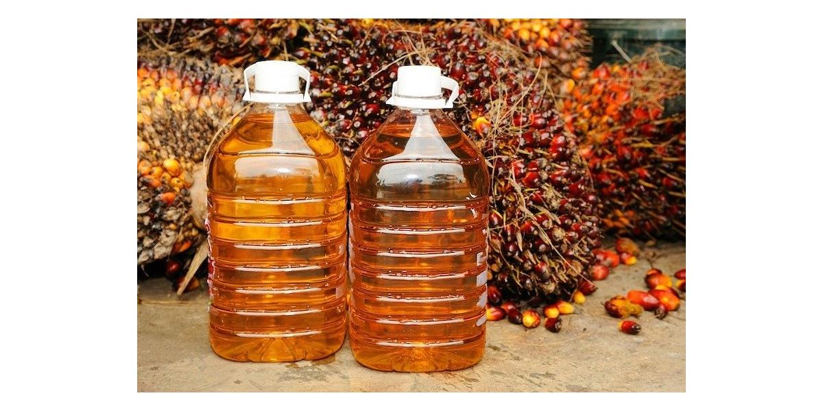Чем опасно пальмовое масло