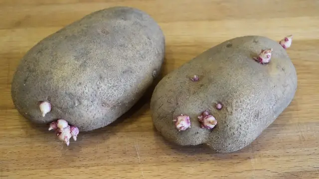 Простой картофельный пирог