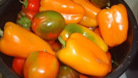 Салат из перца с фасолью