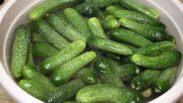 Закуски из огурцов на скорую руку