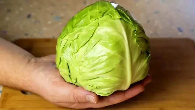 Лёгкий салат из молодой капусты