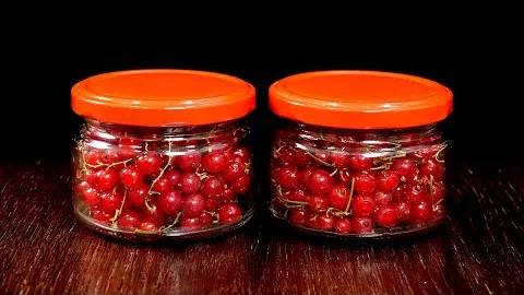 Желе на зиму из смородины