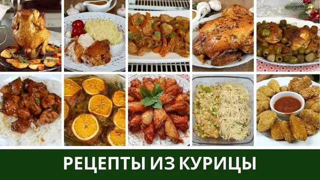 Рецепты из курицы в духовке и на сковороде 