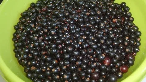 Варенье из чёрной смородины