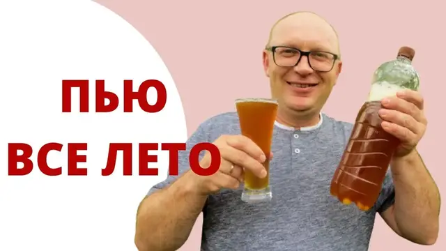 Вкуснейший рецепт домашнего хлебного кваса за сутки
