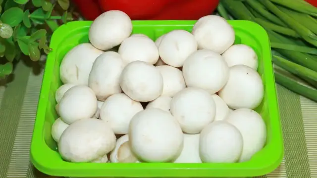 Салат с шампиньонами 