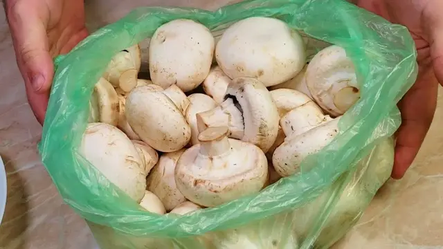 Фаршированые грибы
