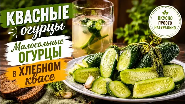 Малосольные огурцы в хлебном квасе