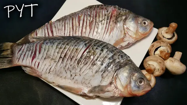 Карась запечённый в духовке под сметанным соусом на луково-грибной подушке