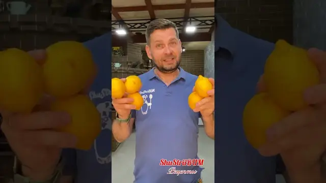 Вкусный лимонад за 2 минуты