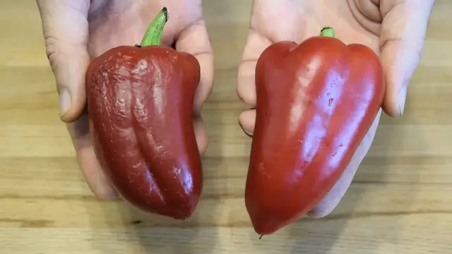 Лучшая закуска из перца 
