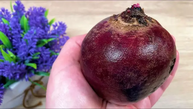 Тертая свекла для иммунитета 