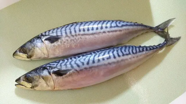 Малосольная скумбрия