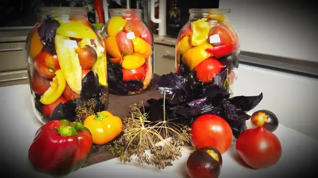 Самые вкусные маринованные помидоры на зиму с базиликом