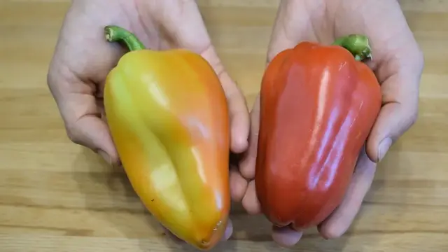 Вкусный фаршированный перец
