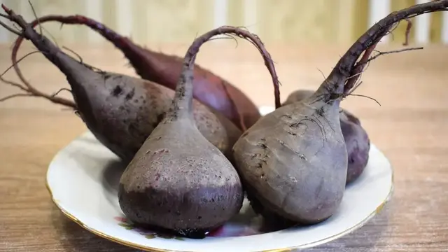 Закуску из свёклы за 20 минут