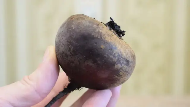 Новый салат из свеклы на каждый день и на праздник