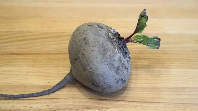 Вкусный салат из свеклы