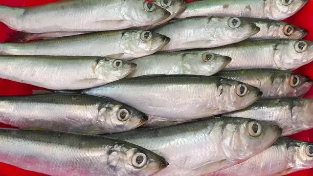 Вкусная соленая салака