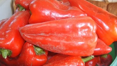 Болгарский перец на зиму