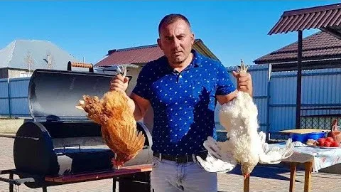 Сочный шашлык из курицы 