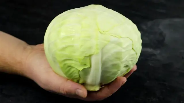 Запеканка с капустой и фаршем в духовке 