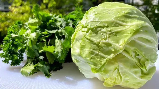 Весенний салат из капусты без майонеза