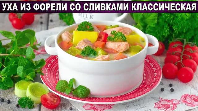 Уха из форели со сливками классическая
