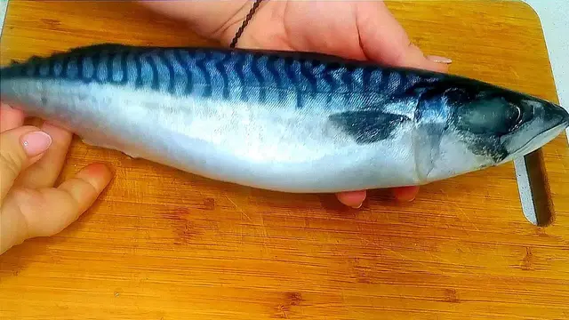Маринованная скумбрия