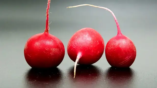 Салат из редиса