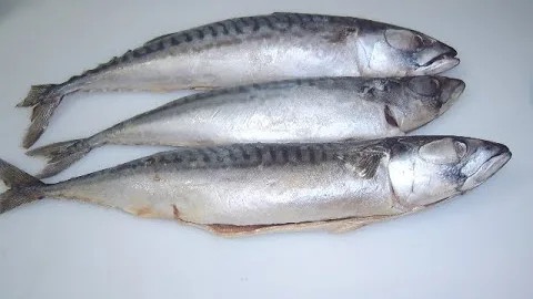 Консервы из скумбрии, кильки и сардины