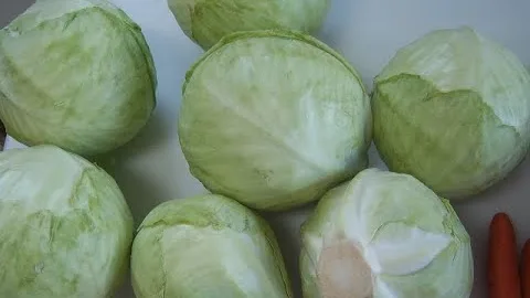 Маринованная капуста