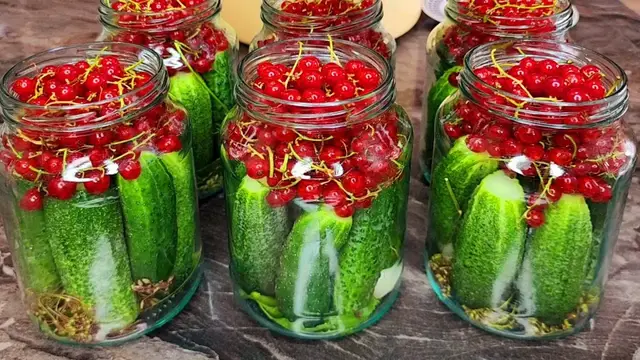 Огурцы со смородиной на зиму
