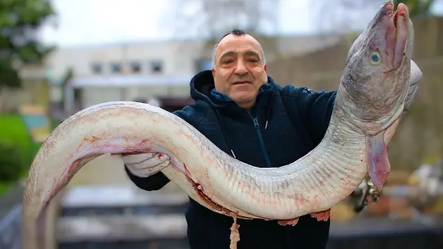 Сочный шашлык из морского угря