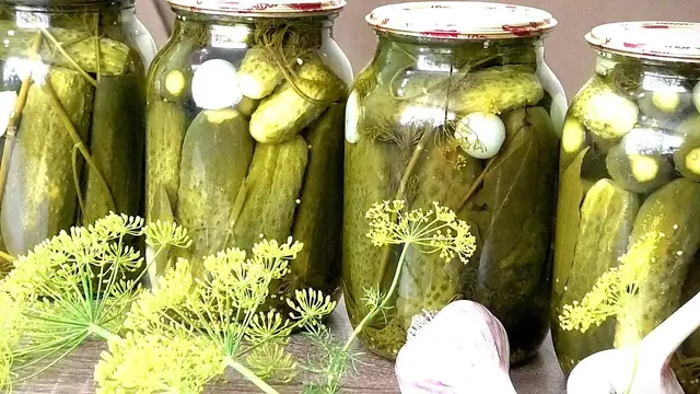 Маринованные огурцы без стерилизации
