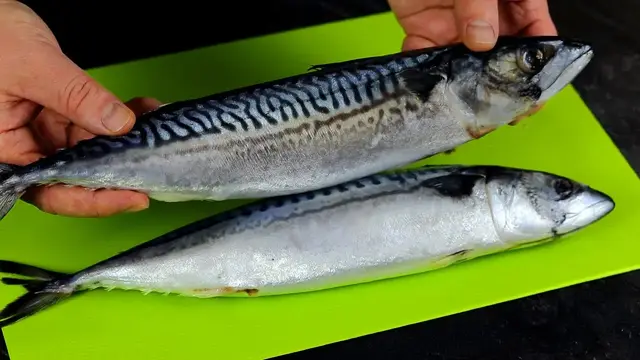 Вкуснейшая идеальная скумбрия
