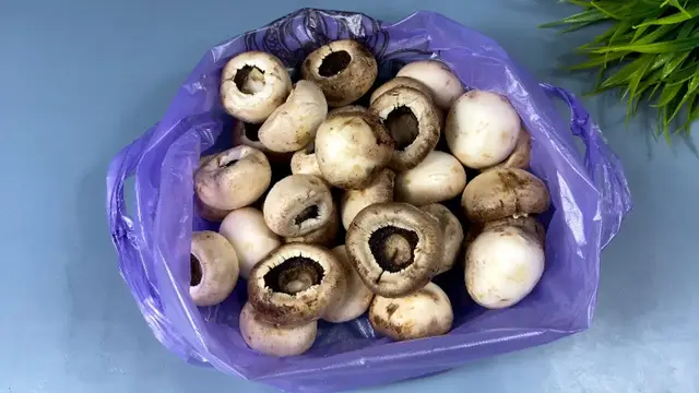Шикарная закуска из шампиньонов