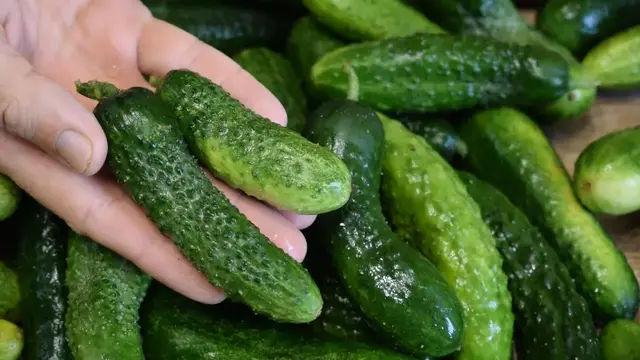 Вкусные маринованные огурцы