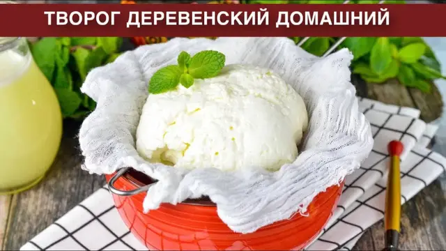 Вкусный и полезный творог из домашнего молока