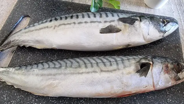 Очень вкусная скумбрия в духовке