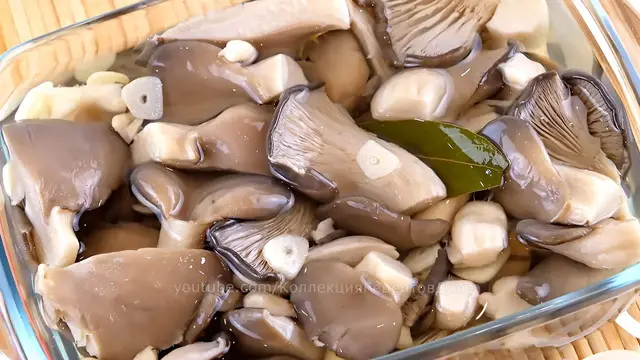 Соленые грибы вешенки
