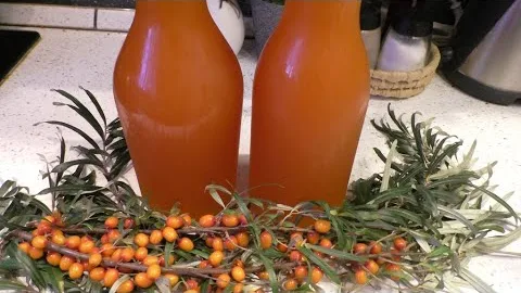 Сироп из облепихи