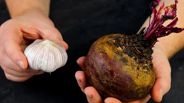 Вкусные салаты со свеклы