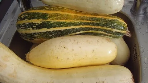 Хрустящие кабачки на зиму