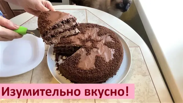 Шоколадный бисквитный торт 