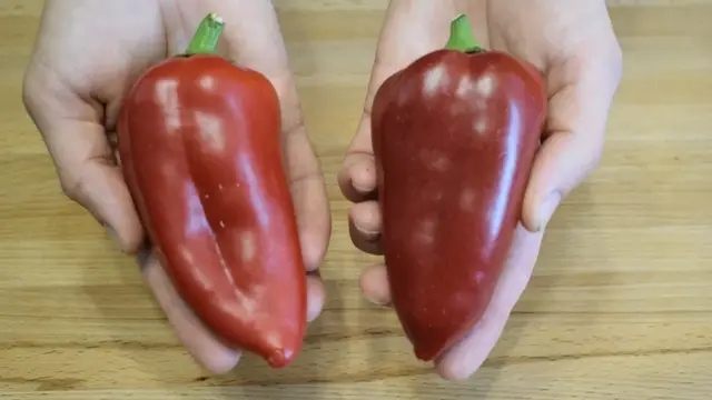 Обалденная закуска к мясу 