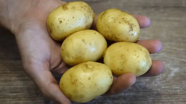 Золотистый картофель с ребрышками