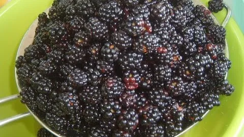 Варенье из ежевики